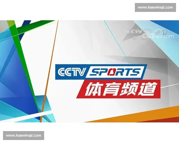全面评测各大体育平台优势与不足 助您选择最适合的体育娱乐平台
