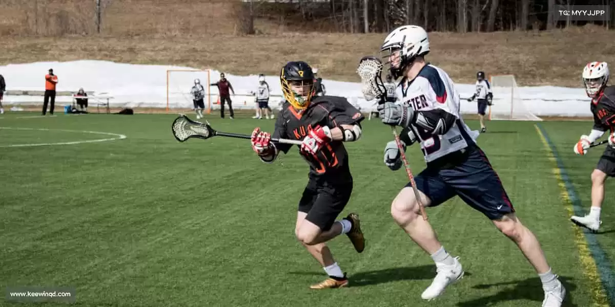 为什么选择我们